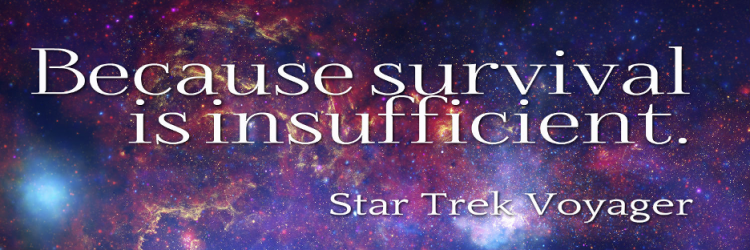 Insufficient Stock Product