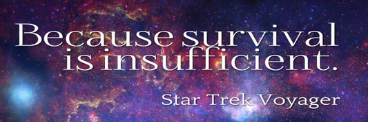 Insufficient Stock Product